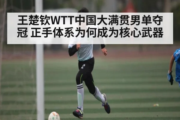 王楚钦WTT中国大满贯男单夺冠 正手体系为何成为核心武器